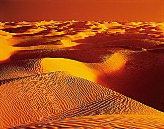 3DM速报：SteamDB年度游戏好评前十两款国产 Uzi复出加盟BLG战队